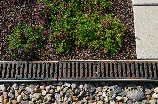 Residential Yard Drainage in Greenville