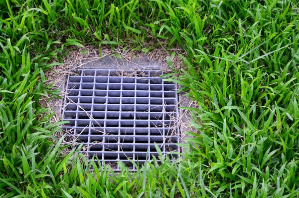 Yard Drainage Service in Greenville