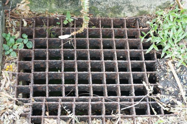 Yard Drain Cleaning in Greenville