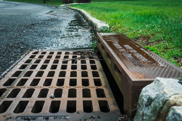 Storm Drain Maintenance in Greenville