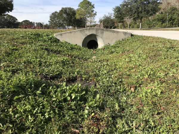 Cost of Swale Drainage Service in Greenville